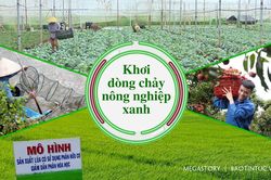 Khơi dòng chảy nông nghiệp xanh