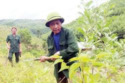 Chính trị - Xã hội Chính trị - Xã hội Còn sức còn cống hiến