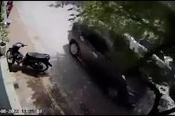Ô tô đang đi bất ngờ bị cành cây đổ ập xuống