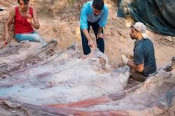Khủng long lớn nhất thế giới 'trỗi dậy' trong vườn nhà