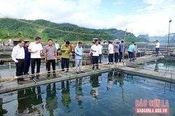 Đoàn đại biểu cấp cao các tỉnh Bắc Lào tham quan tại huyện Mường La