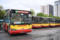 Làm sao để xe buýt bước qua vòng luẩn quẩn vắng khách, thua lỗ?