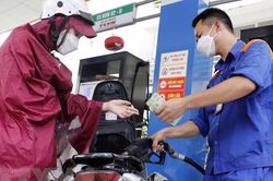 7 doanh nghiệp đầu mối xăng dầu bị rút giấy phép sắp được hoạt động trở lại