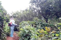 Không để xảy ra dịch chồng dịch