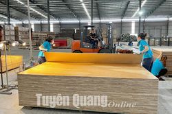 Phát triển công nghiệp chế biến gỗ