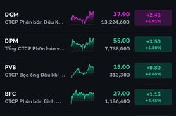 VN-Index 'quay xe' lấy lại 20 điểm, thanh khoản bùng nổ ngày đầu T+2
