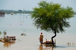 Lũ lụt ở Pakistan khiến 1.000 người thiệt mạng