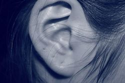 Nghe tiếng lạ trong tai, rùng mình vì 'ổ' giòi ký sinh