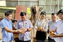 Cần nêu rõ cơ chế, chính sách hỗ trợ phát triển kinh tế tập thể ở TP. Điện Biên Phủ
