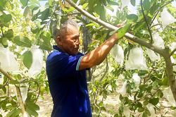 Mỗi năm bỏ túi 300 triệu từ mô hình kinh tế tổng hợp
