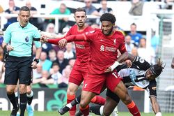 Nhận định bóng đá Liverpool vs Newcastle: Đừng đùa với 'Chích chòe'
