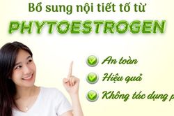 Phân biệt Phytoestrogen và Estrogen