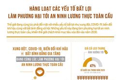 Hàng loạt các yếu tố bất lợi làm phương hại tới an ninh lương thực toàn cầu