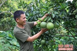 Quang Minh nỗ lực giảm nghèo