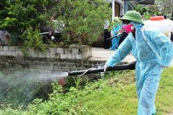 Hà Nội ghi nhận hơn 1.300 ca mắc sốt xuất huyết, tăng gấp 3 lần so với cùng kỳ 2021