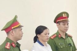 Bị bắt vì làm sổ đỏ giả cắm lấy tiền tiêu xài