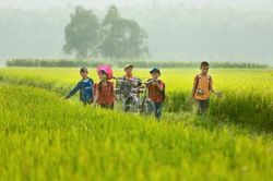 Mùa tựu trường