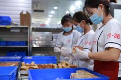 Các cơ sở bánh Trung thu hối hả vào vụ sản xuất