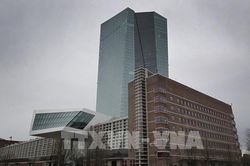 Sức ép ngày càng lớn lên ECB