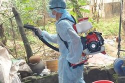 Nhiều người nhầm lẫn sốt xuất huyết với COVID-19