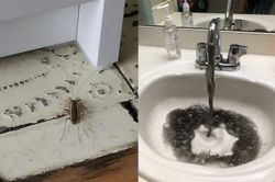 Những bức ảnh 'phát ra tiếng thét', nhìn thôi đã thấy bất lực