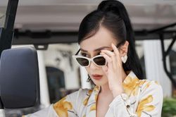 Phương Oanh khoe ảnh bên xế hộp, Shark Bình bất ngờ bị netizen 'réo tên'
