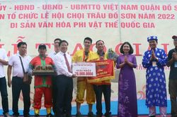 Lễ hội chọi trâu truyền thống Đồ Sơn: Trâu số 08 phường Bàng La giành giải Nhất
