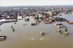 Mưa lũ nghiêm trọng tiếp tục hoành hành tại Pakistan