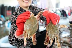 3 mẹo chọn ghẹ con nào cũng tươi ngon chắc thịt