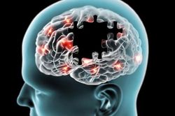 Truyền máu có thể trẻ hóa não không?