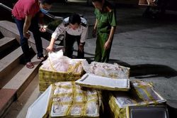 Xe khách giường nằm chở theo gần nửa tấn nội tạng động vật
