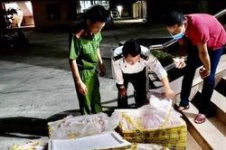 Phát hiện lượng lớn nội tạng, nầm lợn không rõ nguồn gốc trên xe khách