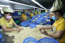 Tận dụng các cơ hội thị trường, xuất khẩu 8 tháng vượt 250 tỷ USD