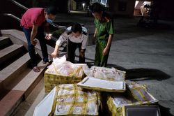 Phát hiện ôtô khách vận chuyển 400kg nội tạng không rõ nguồn gốc