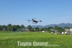 Ứng dụng công nghệ máy bay không người lái phun thuốc bảo vệ thực vật trên cây lúa