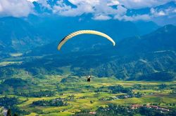 Bay dù lượn ngắm mùa lúa chín