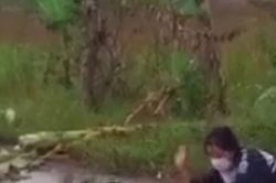 Khởi tố nữ sinh lột quần áo, làm nhục người khác giữa đường