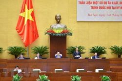 Thảo luận về dự án Luật Thanh tra và Luật Thực hiện dân chủ ở cơ sở