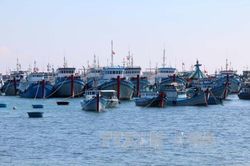 Khắc phục 'thẻ vàng' IUU: Khắc phục tồn tại trong quản lý hoạt động tàu cá