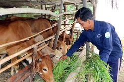 Nỗ lực giảm nghèo đa chiều: Phía trước còn nhiều thách thức