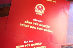 Ia Grai: Cán bộ tư pháp xã bị buộc thôi việc vì dùng học bạ giả