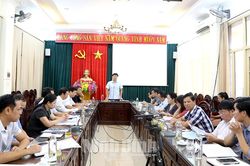 Triển khai kế hoạch sản xuất vụ Đông năm 2022