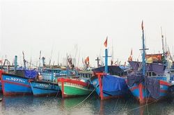 Ngăn chặn tình trạng khai thác thủy sản có tính chất hủy diệt, tận diệt
