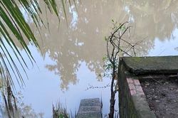 Hai bé trai đuối nước tử vong