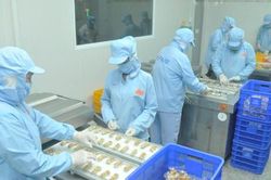 IMF lạc quan về triển vọng tăng trưởng kinh tế Việt Nam