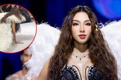 Clip Thùy Tiên ngã khi đang catwalk bỗng hot trở lại, fan quốc tế khen hết lời khả năng xử lý sự cố