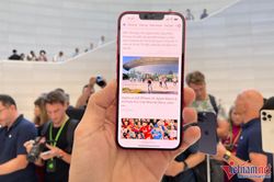 Những hình ảnh trên tay đầu tiên iPhone 14, iPhone 14 Pro và Pro Max