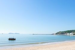 Nghệ An xử lý dự án chậm tiến độ, sử dụng đất không đúng mục đích