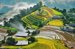 Việt Nam là điểm đến hàng đầu Châu Á trong năm 2022