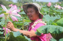 Canh tác nông nghiệp hữu cơ hướng đến sản xuất mang tính bền vững